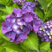 ヒメ日記 2025/05/28 04:27 投稿 たかおか 丸妻 厚木店