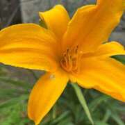 ヒメ日記 2025/05/30 05:27 投稿 たかおか 丸妻 厚木店