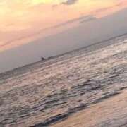 ヒメ日記 2025/06/18 06:18 投稿 たかおか 丸妻 厚木店