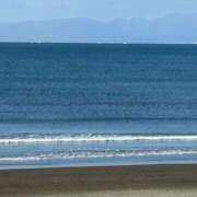 ヒメ日記 2025/11/26 06:54 投稿 たかおか 丸妻 厚木店