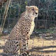 ヒメ日記 2026/02/07 05:58 投稿 たかおか 丸妻 厚木店