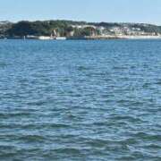 ヒメ日記 2026/02/16 07:28 投稿 たかおか 丸妻 厚木店