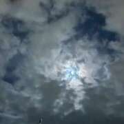 ヒメ日記 2026/03/09 07:52 投稿 たかおか 丸妻 厚木店