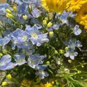 ヒメ日記 2026/03/09 08:53 投稿 たかおか 丸妻 厚木店