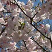 ヒメ日記 2026/04/05 06:19 投稿 たかおか 丸妻 厚木店