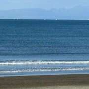 ヒメ日記 2026/04/13 17:37 投稿 たかおか 丸妻 厚木店