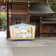 ヒメ日記 2026/09/08 04:27 投稿 たかおか モアグループ丸妻厚木店