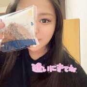 ヒメ日記 2025/01/29 11:50 投稿 サリア ちゃんこ大阪十三