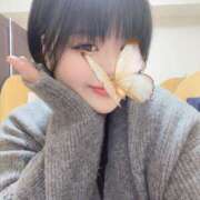 ヒメ日記 2025/04/17 01:12 投稿 サリア ちゃんこ大阪十三