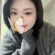 サリア むむ ちゃんこ大阪十三