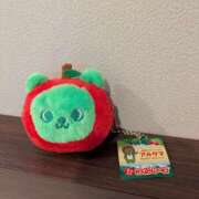 ヒメ日記 2025/02/10 11:25 投稿 ヒナタ よくばりFlavor