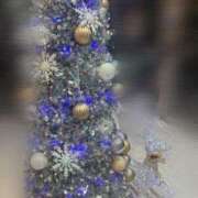 ヒメ日記 2024/12/17 21:14 投稿 まじゅ マリン宮殿水戸店