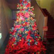 ヒメ日記 2025/12/15 22:12 投稿 そら モアグループ宇都宮人妻花壇