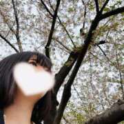 ヒメ日記 2025/10/11 09:00 投稿 水卜ふうか やみつきエステ錦糸町店