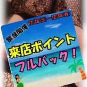 ヒメ日記 2024/12/28 12:53 投稿 百瀬(ももせ) 人妻城 横浜本店