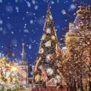 ヒメ日記 2024/12/24 09:41 投稿 聖桜（みお） グランドオペラ横浜