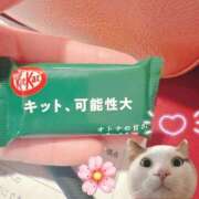 ヒメ日記 2025/03/10 13:01 投稿 聖桜（みお） グランドオペラ横浜