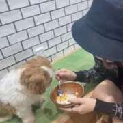 ヒメ日記 2024/12/18 12:30 投稿 めあ 池袋マリン別館