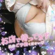 ヒメ日記 2025/10/20 17:52 投稿 ひいらぎ 丸妻 新横浜店