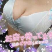 ヒメ日記 2025/10/27 17:55 投稿 ひいらぎ 丸妻 新横浜店