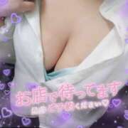 ヒメ日記 2026/04/01 18:18 投稿 ひいらぎ 丸妻 新横浜店