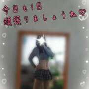 ヒメ日記 2025/01/22 07:17 投稿 えみ 町田人妻城