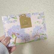 ヒメ日記 2025/04/08 23:17 投稿 ねね 東京リップ 池袋店