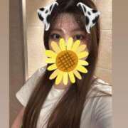 ヒメ日記 2025/06/30 20:28 投稿 りり プリコレ（PRINCESS COLLECTION）