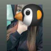 ヒメ日記 2025/11/13 20:42 投稿 りり プリコレ（PRINCESS COLLECTION）