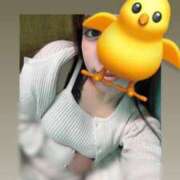 ヒメ日記 2025/11/15 21:00 投稿 りり プリコレ（PRINCESS COLLECTION）