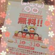 ヒメ日記 2025/03/15 17:45 投稿 みらい PLATINA