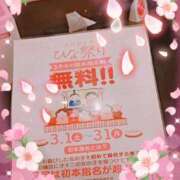 ヒメ日記 2025/03/15 19:15 投稿 みらい PLATINA