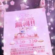 ヒメ日記 2025/03/15 19:45 投稿 みらい PLATINA