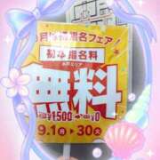 ヒメ日記 2025/09/02 04:00 投稿 みらい PLATINA