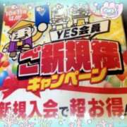 ヒメ日記 2025/11/16 20:21 投稿 みらい PLATINA