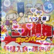 ヒメ日記 2025/11/16 21:42 投稿 みらい PLATINA
