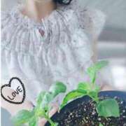 ヒメ日記 2025/06/08 10:49 投稿 さつき 逢って30秒で即尺