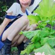 ヒメ日記 2025/08/01 09:14 投稿 さつき 逢って30秒で即尺