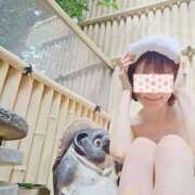 ヒメ日記 2025/08/09 00:03 投稿 さつき 逢って30秒で即尺