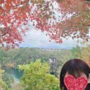 ヒメ日記 2025/11/12 12:08 投稿 さつき 逢って30秒で即尺