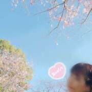 ヒメ日記 2026/03/19 18:02 投稿 さつき 逢って30秒で即尺