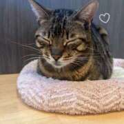 ヒメ日記 2025/04/16 02:36 投稿 めあり モアグループ 土浦人妻花壇