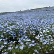 ヒメ日記 2025/04/21 02:21 投稿 めあり モアグループ 土浦人妻花壇