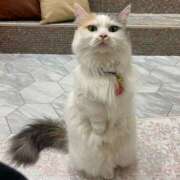 ヒメ日記 2025/05/13 00:27 投稿 めあり モアグループ 土浦人妻花壇