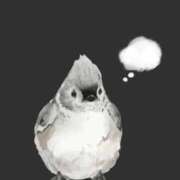 ヒメ日記 2025/09/25 09:54 投稿 めあり モアグループ 土浦人妻花壇