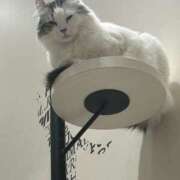 ヒメ日記 2026/02/06 21:06 投稿 めあり モアグループ 土浦人妻花壇