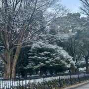 ヒメ日記 2026/02/08 20:57 投稿 めあり モアグループ 土浦人妻花壇