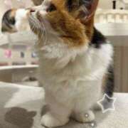 ヒメ日記 2026/02/22 09:03 投稿 めあり モアグループ 土浦人妻花壇