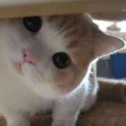 ヒメ日記 2025/03/12 18:31 投稿 多部【たべ】 丸妻 西船橋店