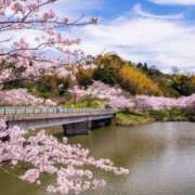 ヒメ日記 2025/03/15 18:48 投稿 多部【たべ】 丸妻 西船橋店